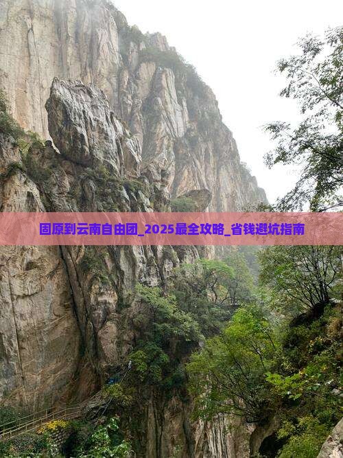 固原到云南自由团