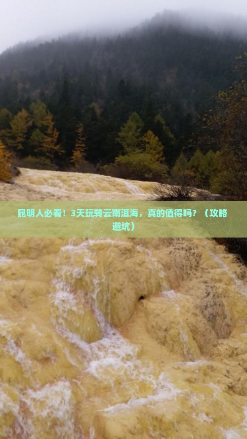 昆明去云南洱海三日游