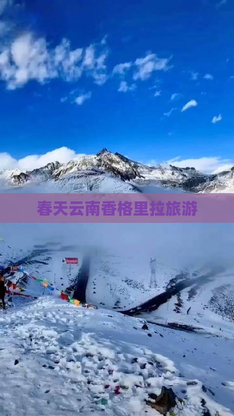 春天去云南香格里拉团体旅游