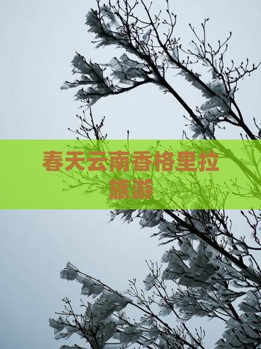 春天去云南香格里拉团体旅游