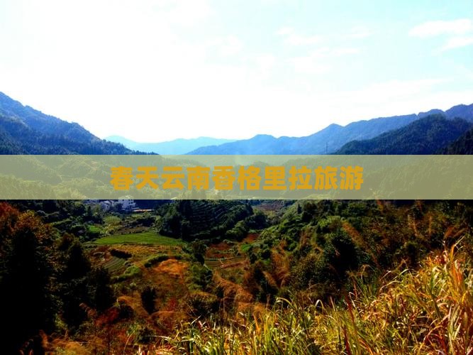 春天去云南香格里拉团体旅游
