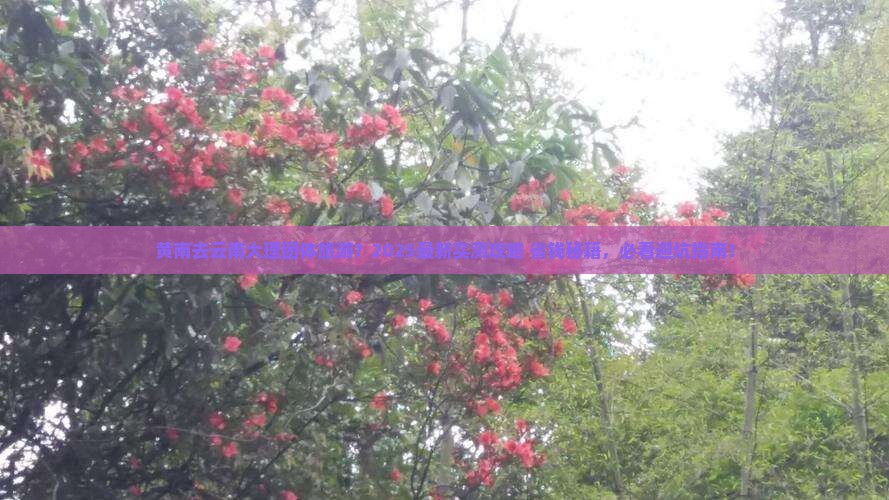 黄南去云南大理团体旅游
