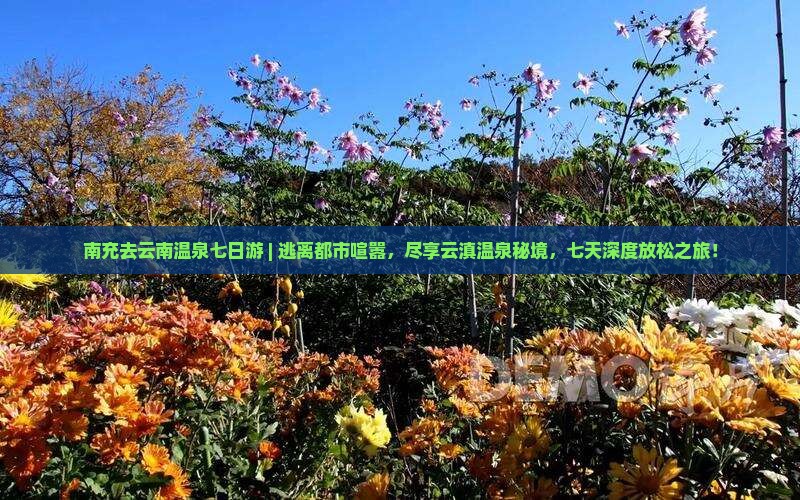 南充去云南温泉七日游