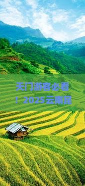 天门到云南昆明六日游