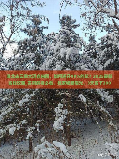淮北去云南大理自由团
