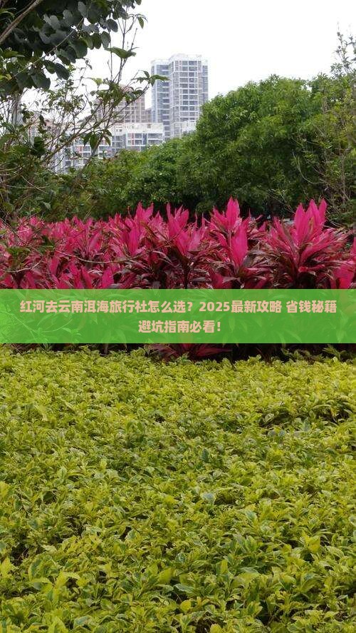 红河去云南洱海旅行社