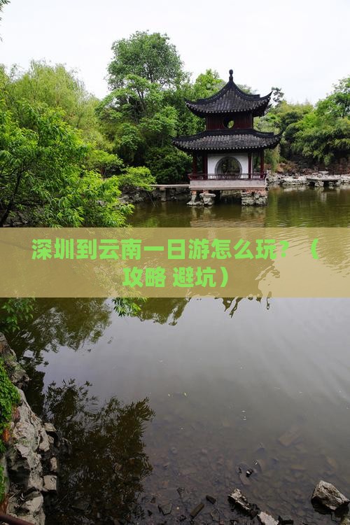 深圳到云南一日