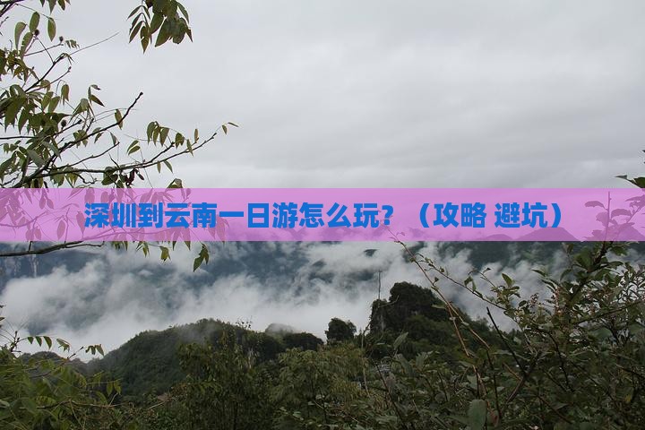深圳到云南一日
