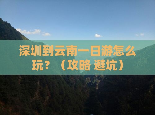深圳到云南一日