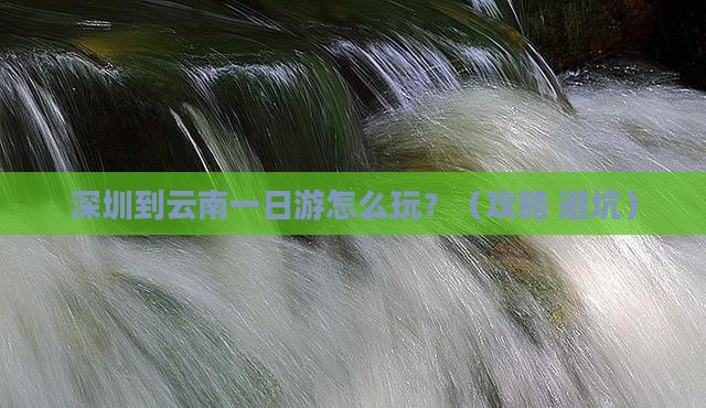 深圳到云南一日