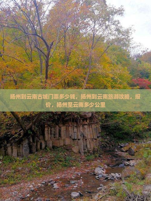 扬州到云南古城门票