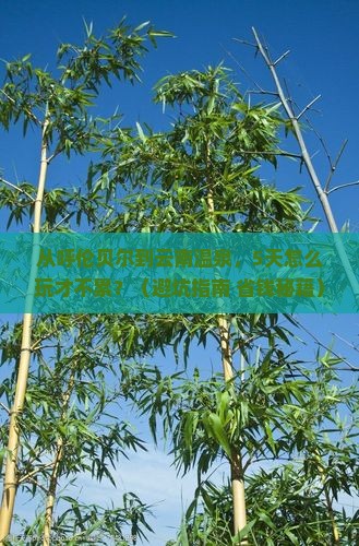 呼伦贝尔去云南温泉旅游
