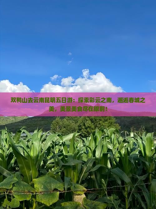 双鸭山去云南昆明五日游