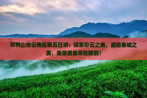 双鸭山去云南昆明五日游