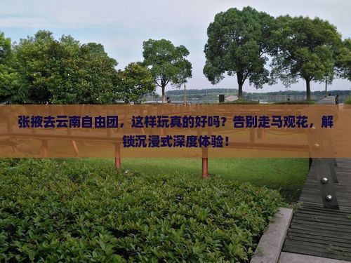 张掖去云南自由团