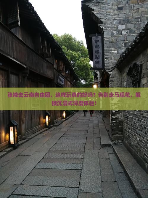 张掖去云南自由团