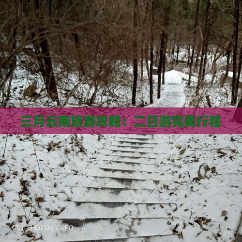 三月去云南二日游