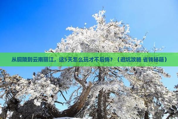 铜陵到云南丽江景点