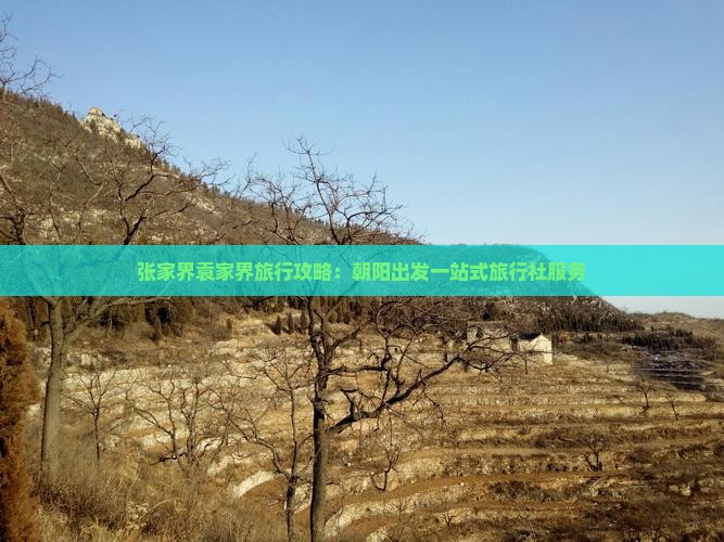 张家界袁家界旅行攻略：朝阳出发一站式旅行社服务