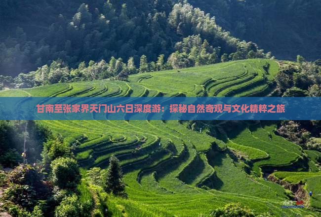 甘南至张家界天门山六日深度游：探秘自然奇观与文化精粹之旅