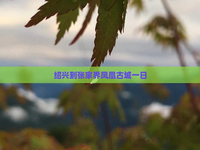 绍兴到张家界凤凰古城一日
