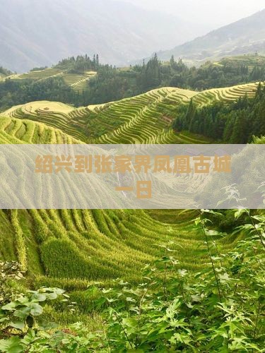 绍兴到张家界凤凰古城一日