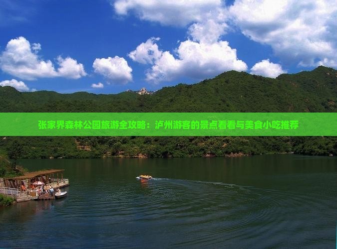 张家界森林公园旅游全攻略：泸州游客的景点看看与美食小吃推荐