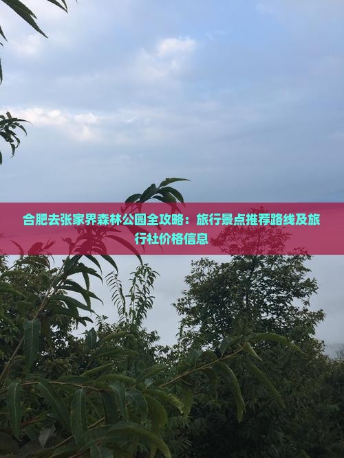 合肥去张家界森林公园全攻略：旅行景点推荐路线及旅行社价格信息