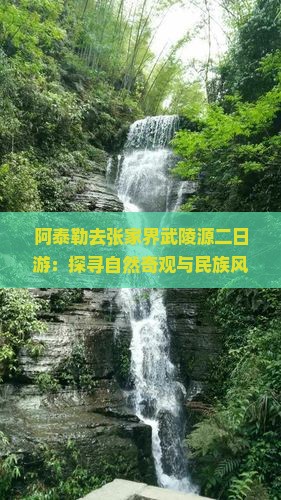 阿泰勒去张家界武陵源二日游：探寻自然奇观与民族风情之旅