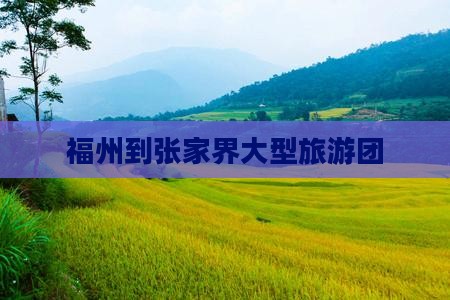 福州到张家界大型旅游团