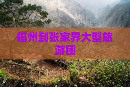 福州到张家界大型旅游团