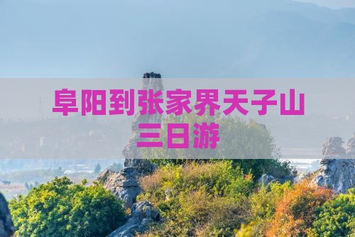 阜阳到张家界天子山三日游