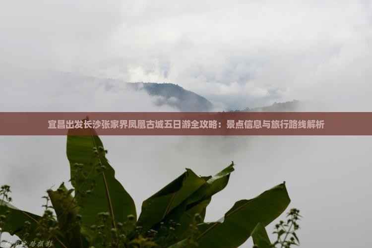 宜昌出发长沙张家界凤凰古城五日游全攻略：景点信息与旅行路线解析