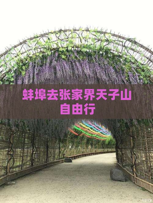 蚌埠去张家界天子山自由行