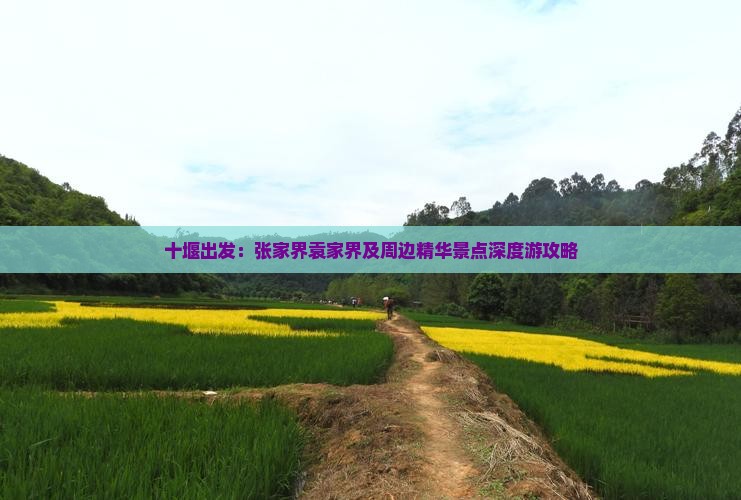 十堰出发：张家界袁家界及周边精华景点深度游攻略