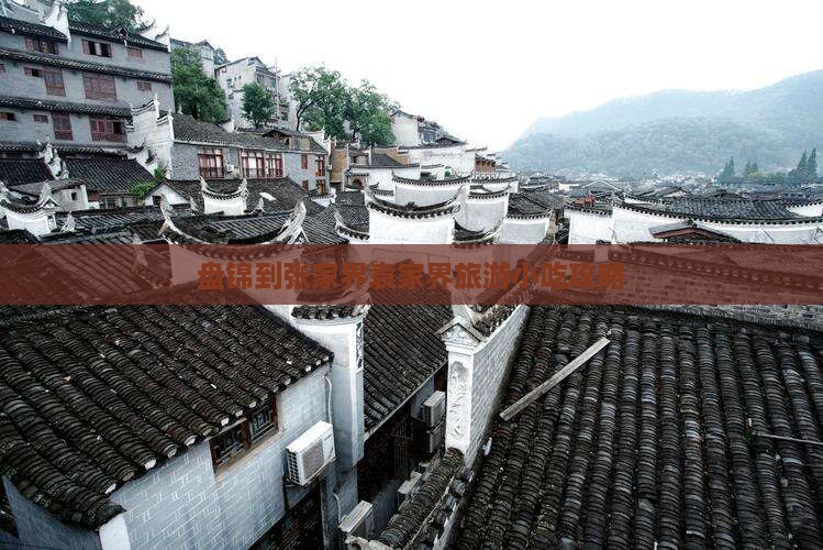 盘锦到张家界袁家界旅游小吃攻略