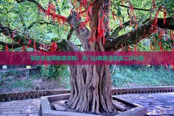 张家界玻璃栈道攻略：天门山栈道深度游二日行程