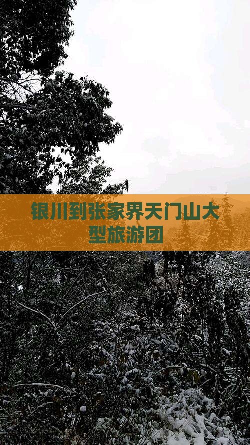 银川到张家界天门山大型旅游团