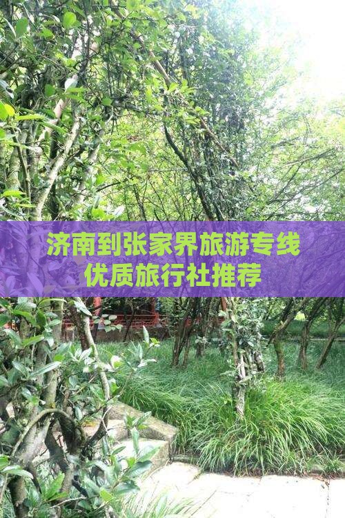 济南到张家界旅游专线优质旅行社推荐