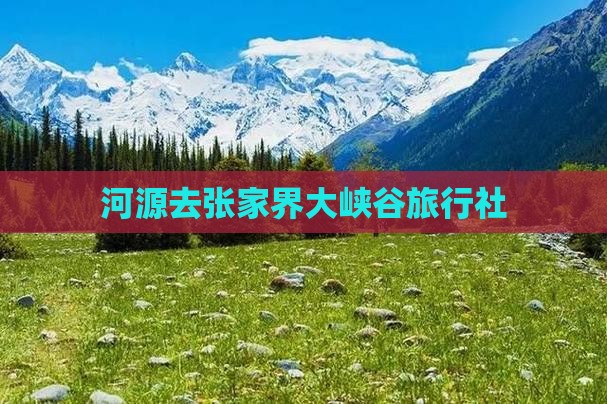 河源去张家界大峡谷旅行社
