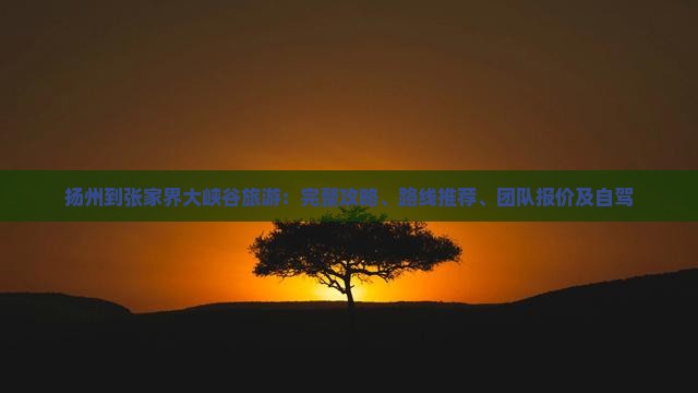 扬州到张家界大峡谷旅游：完整攻略、路线推荐、团队报价及自驾