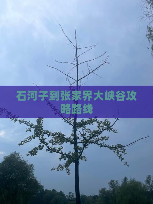 石河子到张家界大峡谷攻略路线