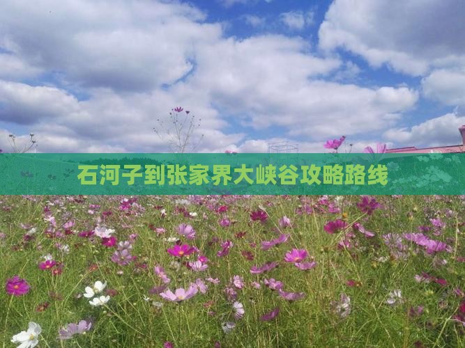石河子到张家界大峡谷攻略路线
