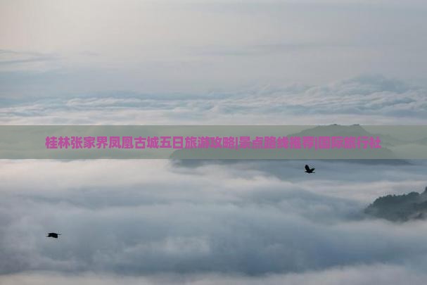 桂林张家界凤凰古城五日旅游攻略|景点路线推荐|国际旅行社