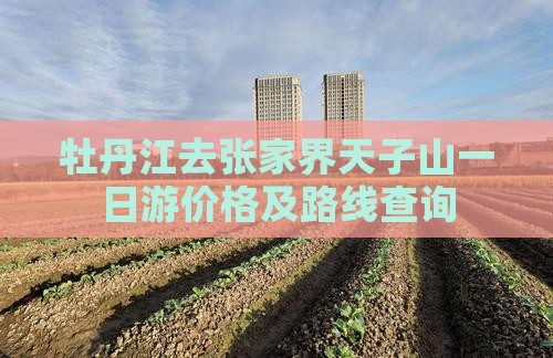 牡丹江去张家界天子山一日游价格及路线查询