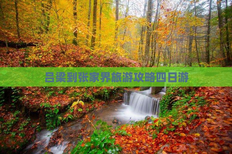 吕梁到张家界旅游攻略四日游