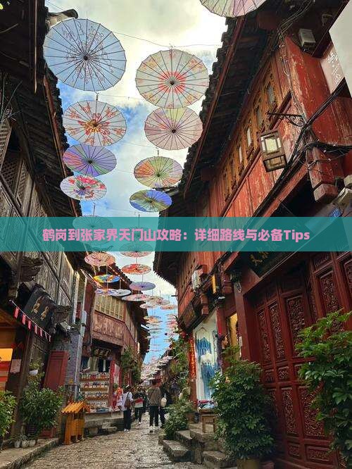 鹤岗到张家界天门山攻略：详细路线与必备Tips