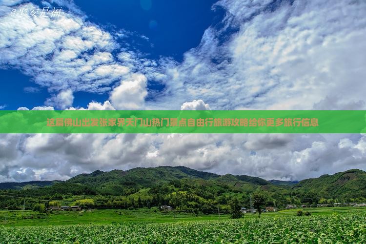 这篇佛山出发张家界天门山热门景点自由行旅游攻略给你更多旅行信息