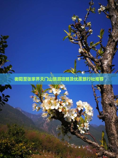 衡阳至张家界天门山旅游攻略及优质旅行社推荐