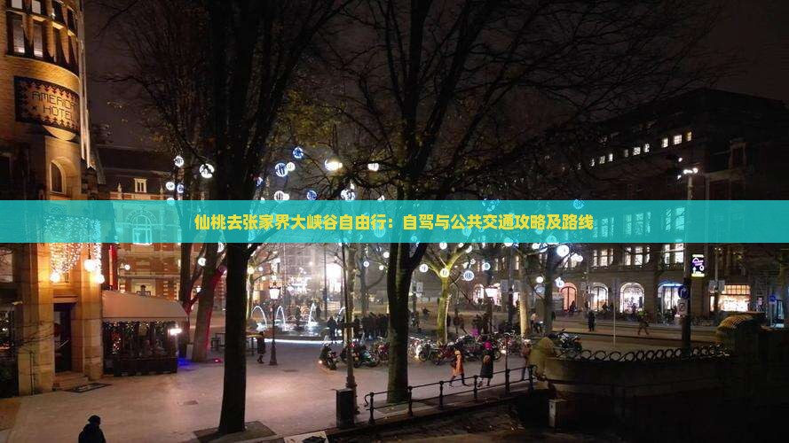 仙桃去张家界大峡谷自由行：自驾与公共交通攻略及路线